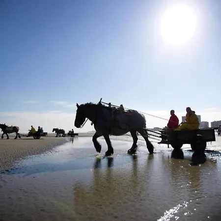 Apartamento In With Sea Views *