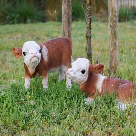 Apartamento In With Sea Views Nieuwpoort